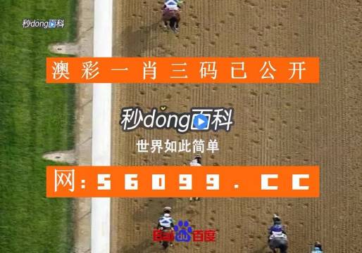 澳门凤凰资料四肖八码,探索与解析,澳门凤凰四肖八码探索与解析指南