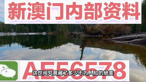 2025新澳精准资料大全详解，2025新澳精准资料大全详解手册