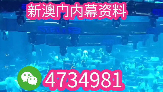 揭秘澳门王中王开奖结果——未来的预测与探索（2025年），澳门王中王未来开奖预测与探索，揭秘开奖结果（2025展望）