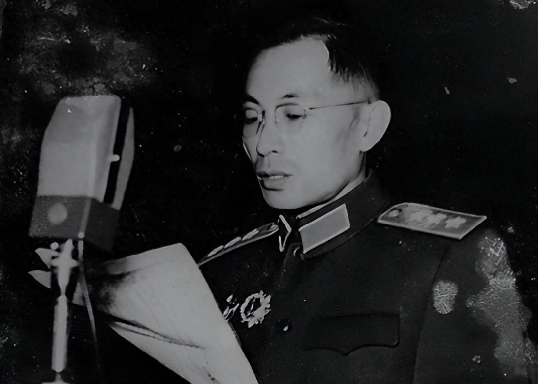 海南岛战役总结报告，海南岛战役全面汇报与经验总结