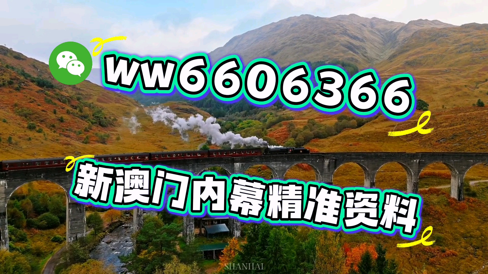 澳门一肖一码期期准资料