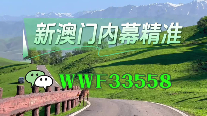 澳门彩票市场的发展与展望,聚焦2025新澳门精准免费大全,澳门彩票市场发展与展望,聚焦未来至2025精准免费彩票概览
