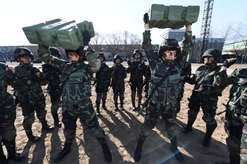 中国女特种兵电影大全，荣耀与使命的见证，中国女特种兵电影盘点，荣耀与使命的印记
