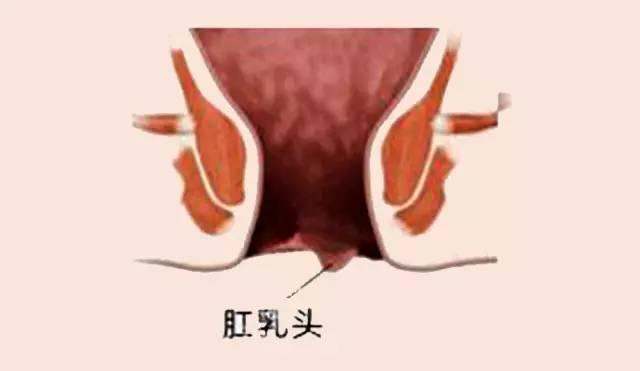女生看肛肠科的尴尬，女生看肛肠科的尴尬经历分享