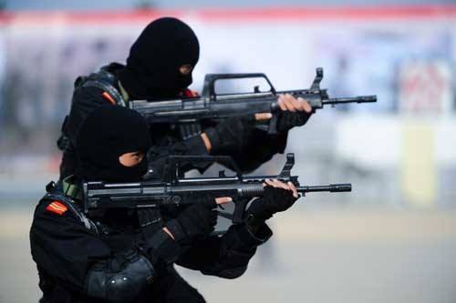 武警特战部队，特种部队的身份与职责解析，武警特战部队与特种部队的身份职责深度解析