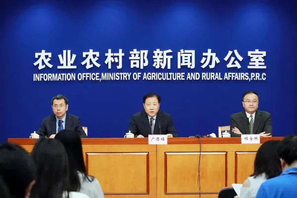 今日国际新闻稿子,今日国际新闻概览