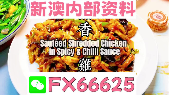 新奥天天精准资料大全,探索与解析,新奥天天精准资料大全,深度探索与全面解析