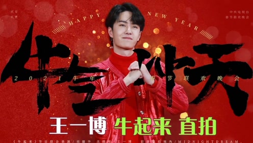 王中王一肖中特，探索新时代背景下的独特魅力与价值，新时代背景下的王中王一肖，独特魅力与价值探索