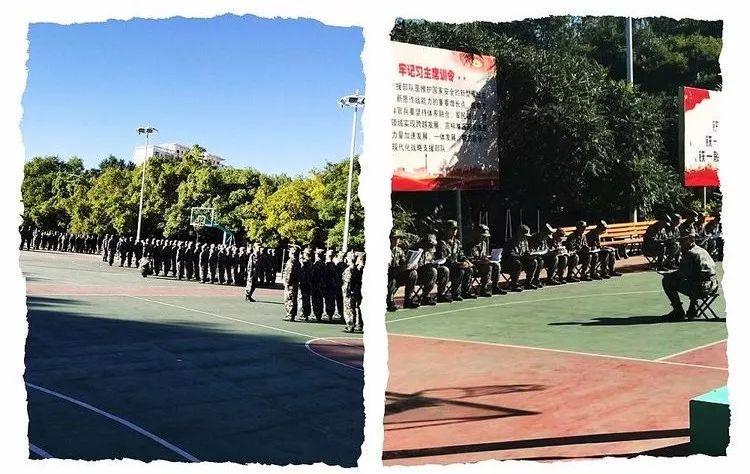 CCTV军事科技有感，CCTV军事科技深度解析，科技与军事的紧密融合之旅