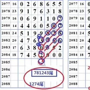 王中王三字平特一肖,探寻背后的神秘与魅力,王中王三字平特一肖,神秘魅力背后的探寻