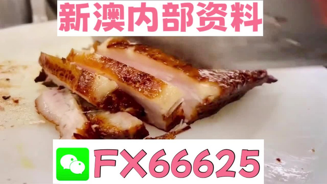 新奥长期免费资料大全,探索与启示,新奥长期免费资料大全,深度探索与启示