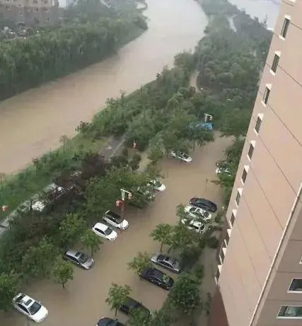 最新消息关于郑州暴雨死亡人数的报告，郑州暴雨死亡人数最新报告