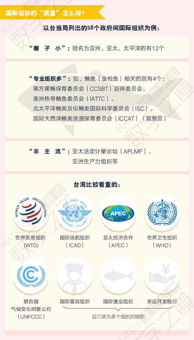 世界十大重要组织及其影响力,世界十大重要组织及其深远影响力