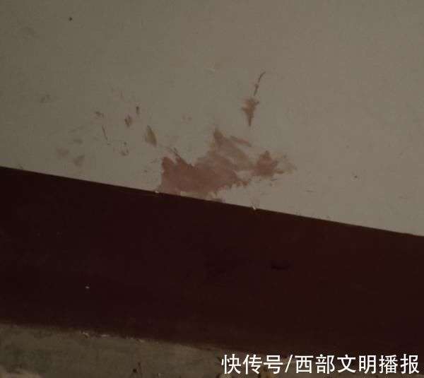 揭秘816墙上血迹的来历，揭秘816墙血迹背后的故事