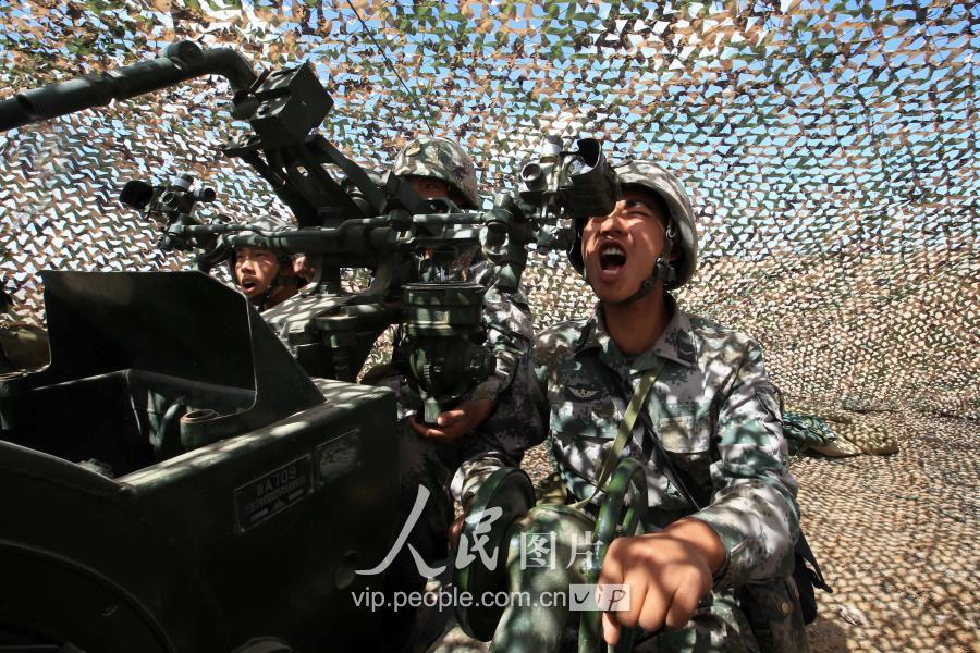关于中国陆军第XXX集团军编制的研究与探讨，中国陆军第XXX集团军编制深度研究与探讨