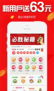 王中王015指一生肖——探寻背后的神秘与魅力，王中王015指一生肖，神秘魅力探寻记