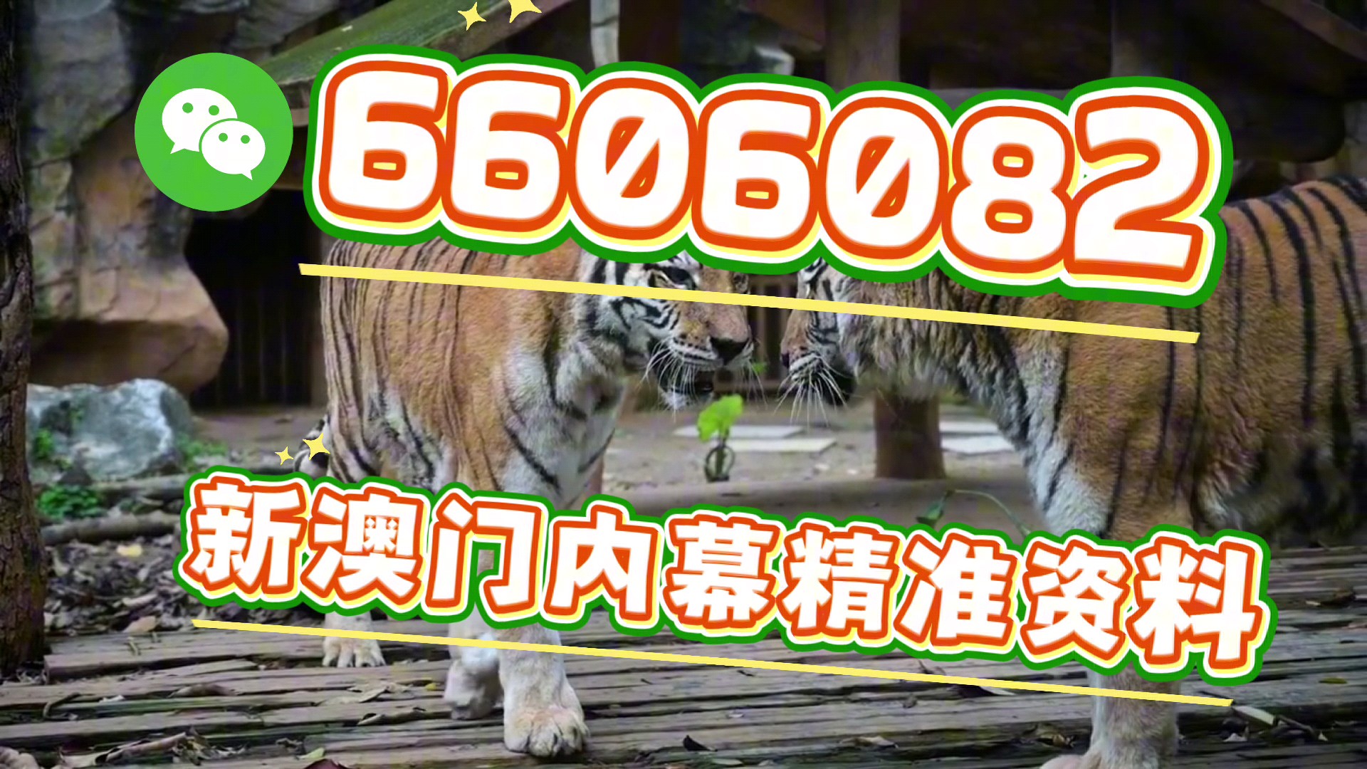 揭秘最准一码一肖，揭秘真相背后的秘密与真相的精准性探讨，揭秘真相背后，一码一肖精准预测的秘密探讨