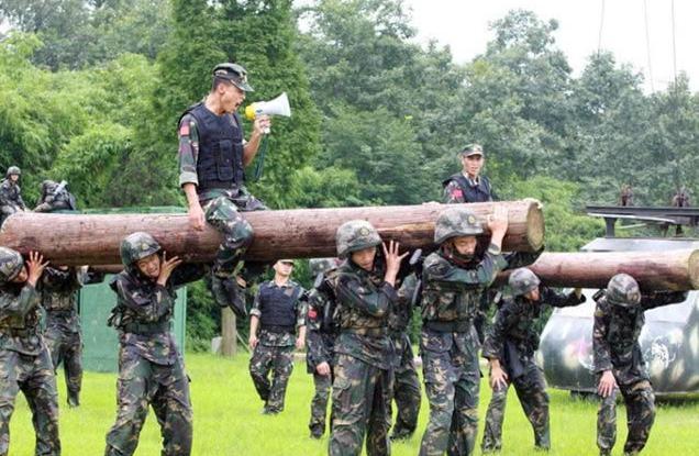 中士退伍后的工作分配问题探讨，中士退伍后的职业转型与就业问题探讨