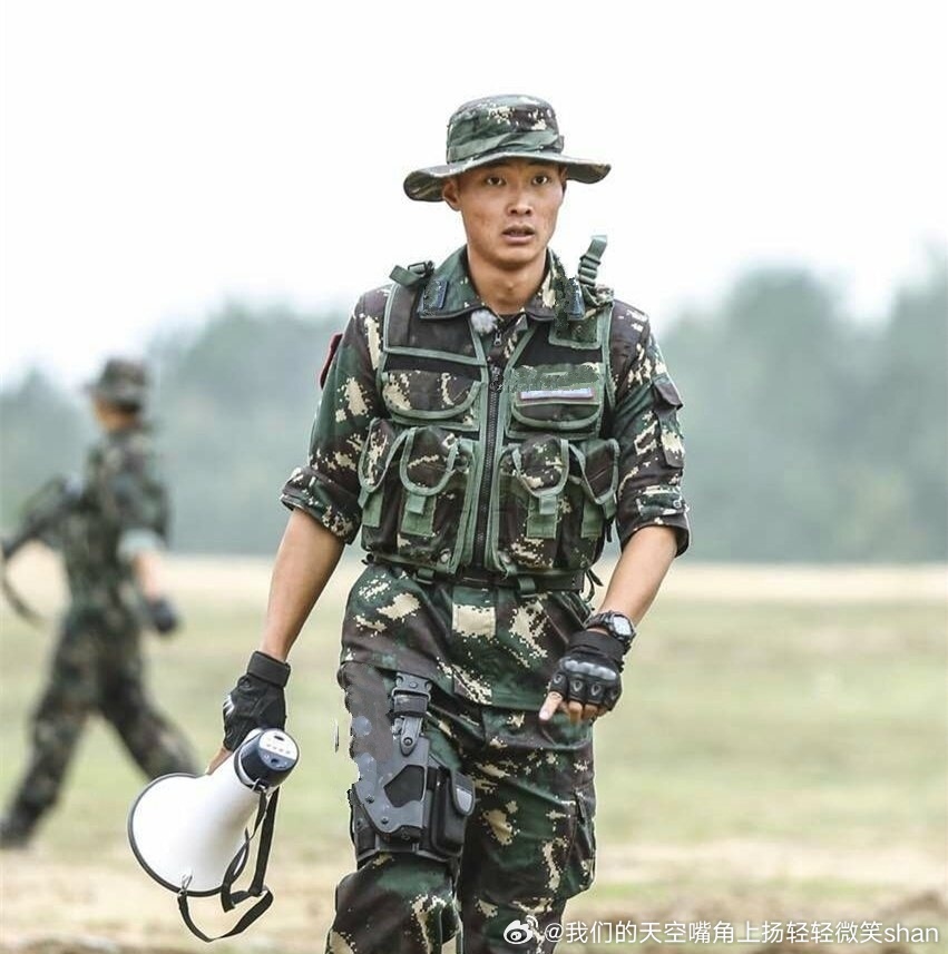 影响分析（或影响研究）