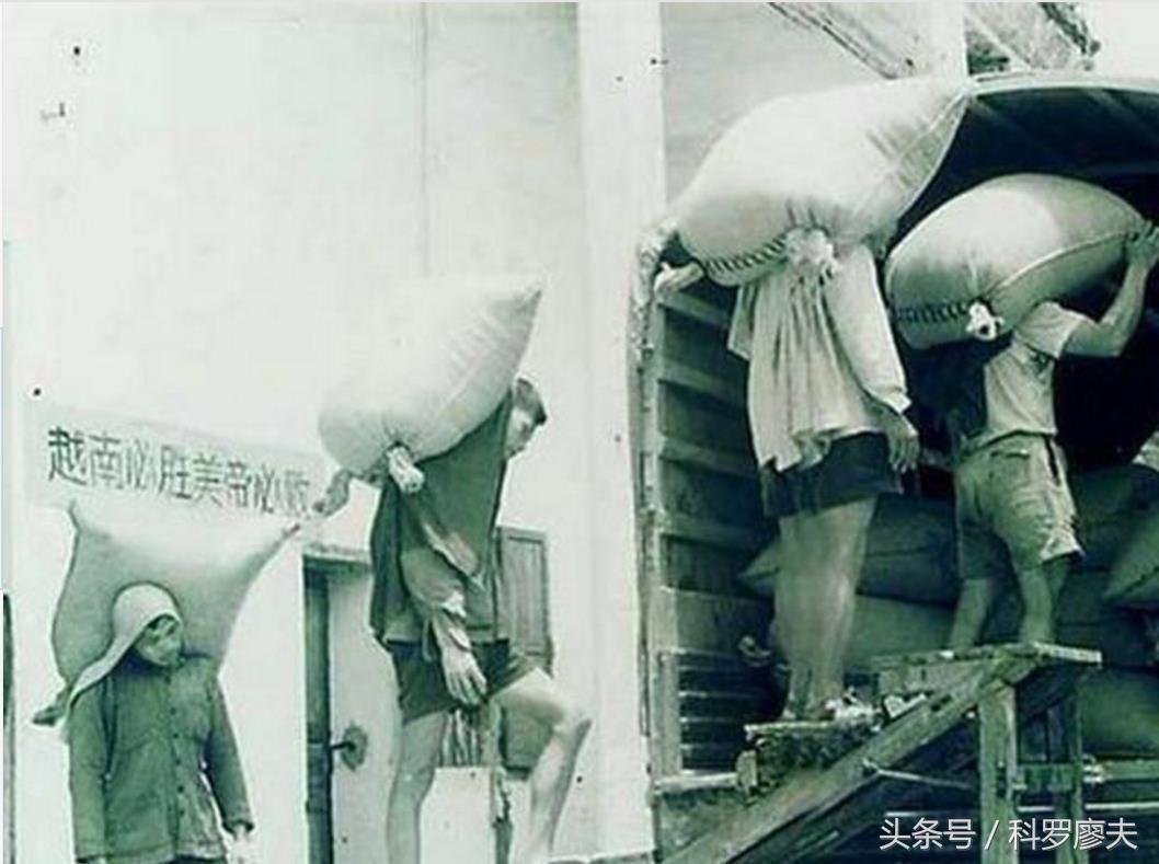 探索军服的世界，各种军服图片的魅力与象征意义，军服世界探索，图片魅力与象征意义揭秘