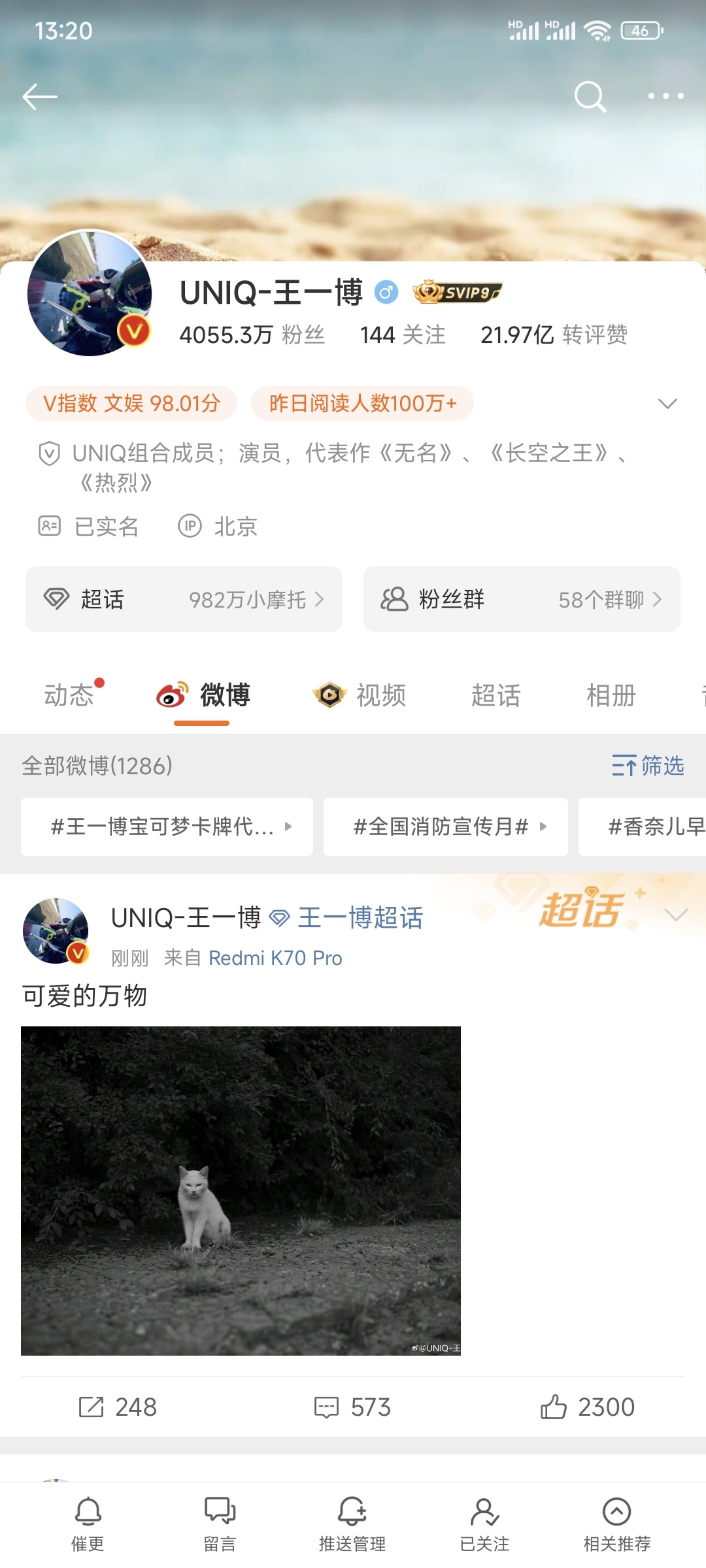 王中王一肖一，全年资料的深度解析，王中王一肖一全年资料深度解析