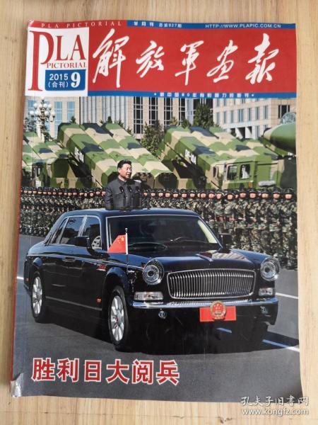 胜利日大阅兵，回顾与下载指南（2015年），胜利日大阅兵回顾与下载指南（2015年）