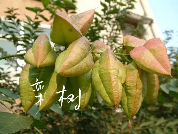 国际观察笔记，全球动态与深度洞察，全球风云观察笔记，国际动态与深度洞察
