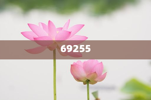 新门内部精准资料免费,探索与启示,新门内部精准资料探索与启示——免费获取启示之门