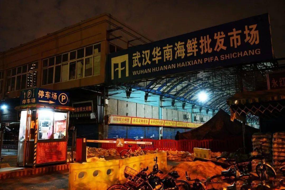 华南海鲜市场，探索海鲜美食与文化的视觉盛宴，华南海鲜市场，海鲜美食与文化盛宴的视觉探索