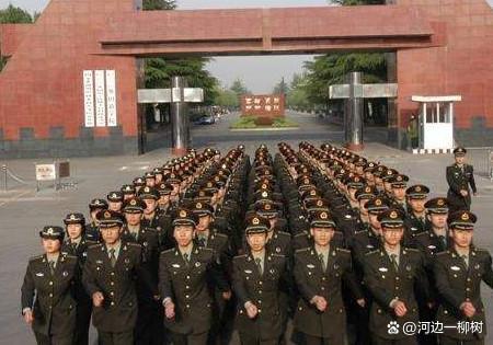石家庄陆军学校阅兵方队，荣耀与传承的展现，石家庄陆军学校阅兵方队，荣耀传承的展现