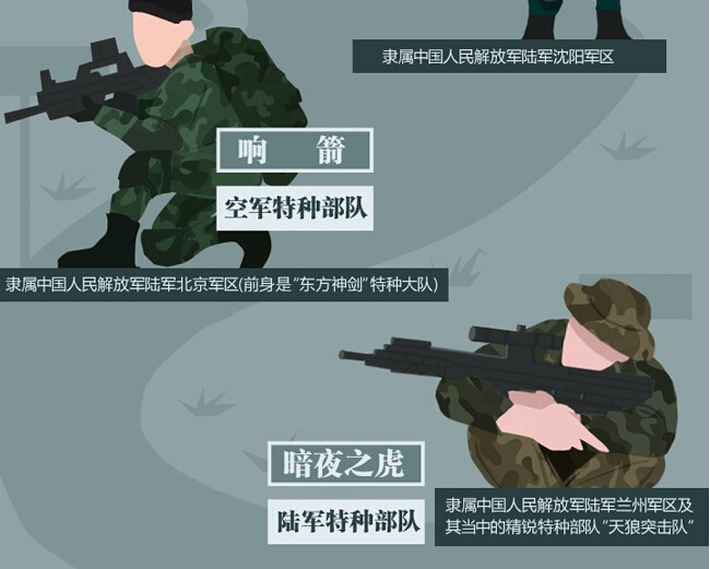中国响箭特种部队排名及其影响力,中国响箭特种部队排名及影响力探究