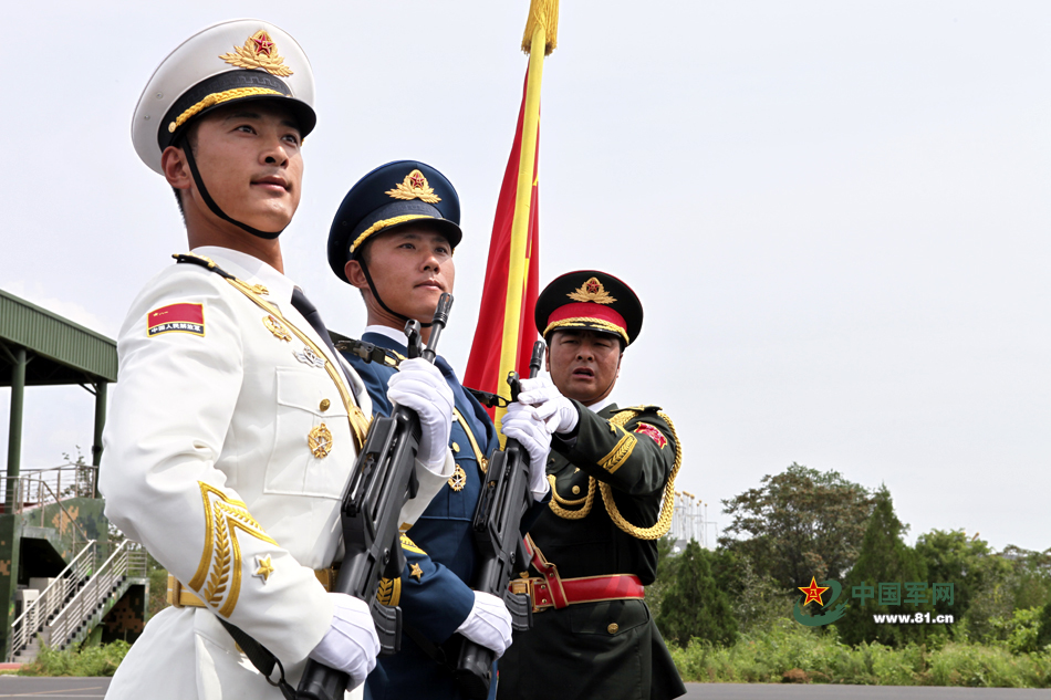 三军仪仗队视频现场,荣耀与力量的展现,三军仪仗队荣耀现场,力量与荣耀的展现