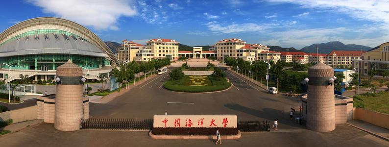 中国海军2020年将服役舰艇，迈向现代化的步伐与力量展示，中国海军现代化步伐加速，舰艇力量展示与迈向未来的决心