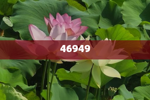 正版全年资料免费大全,助力知识共享与自我提升的时代引擎,正版全年资料免费共享,知识提升与时代引擎的助力