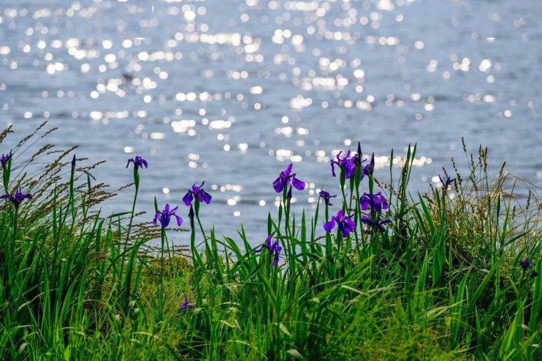 环球时报邀你一起签名，共同守护全球的未来，环球时报呼吁共同签名，守护全球未来