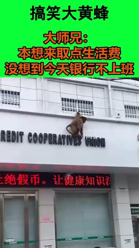 今天银行上班吗?——探究银行营业时间与我们的日常生活,今日银行营业状态解析,探究银行营业时间对日常生活的影响