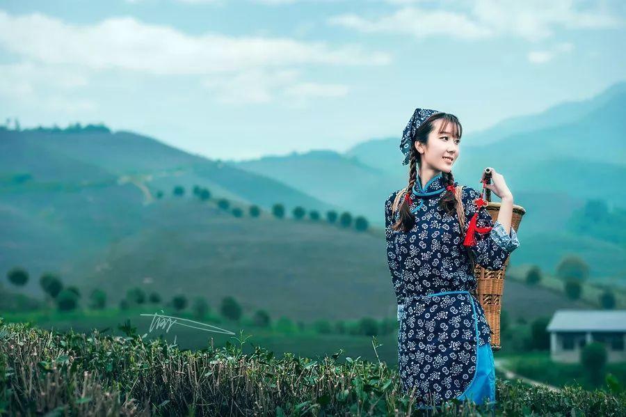 天下彩天天空彩资料免费大全管家,探索彩票世界的宝库,天下彩天天空彩资料大全管家,解锁彩票世界宝藏之门