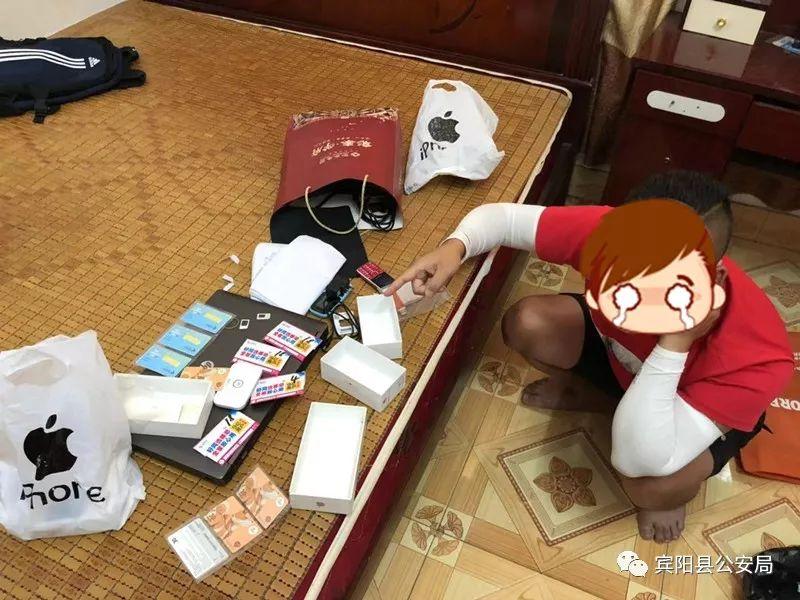 一肖规律破解,深度探索与解析,一肖规律破解,深度探索与解析揭秘