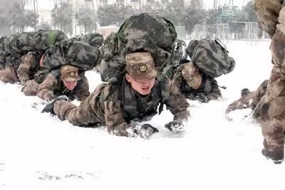 中国武警特战臂章，荣耀与责任的象征，中国武警特战臂章，荣耀与责任的独特标志