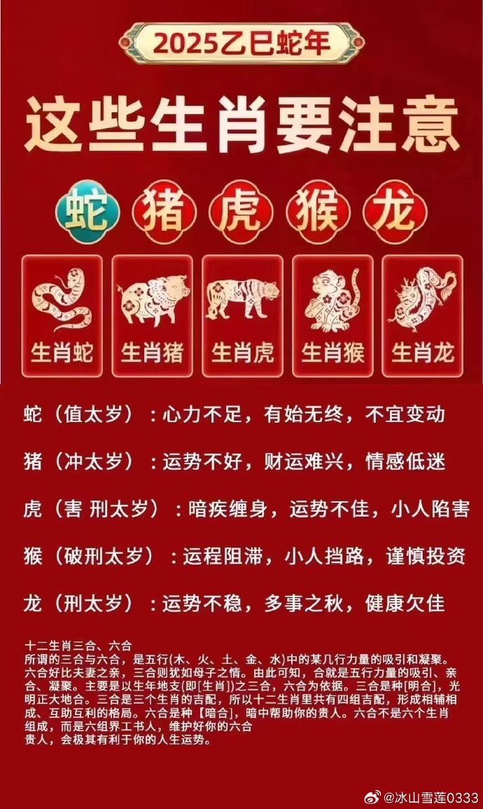 购买生肖彩票的风险分析,如何理解赔法,购买生肖彩票的风险解析与赔法理解指南