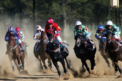揭秘刘伯温与四肖选一肖的传奇故事,刘伯温与四肖选一肖传奇揭秘