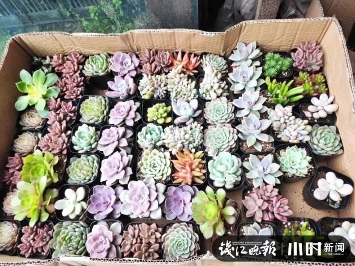 这两天的新闻大事概览，近日全球新闻概览速递