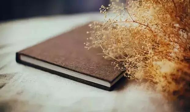 国际观察天涯论坛打不开的现象及其背后原因,天涯论坛打不开现象揭秘,国际观察视角下的背后原因探究