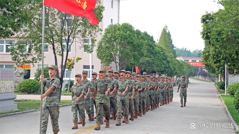 深度解读，2022部队士官改革及其影响，深度解读，2022部队士官改革及其影响分析