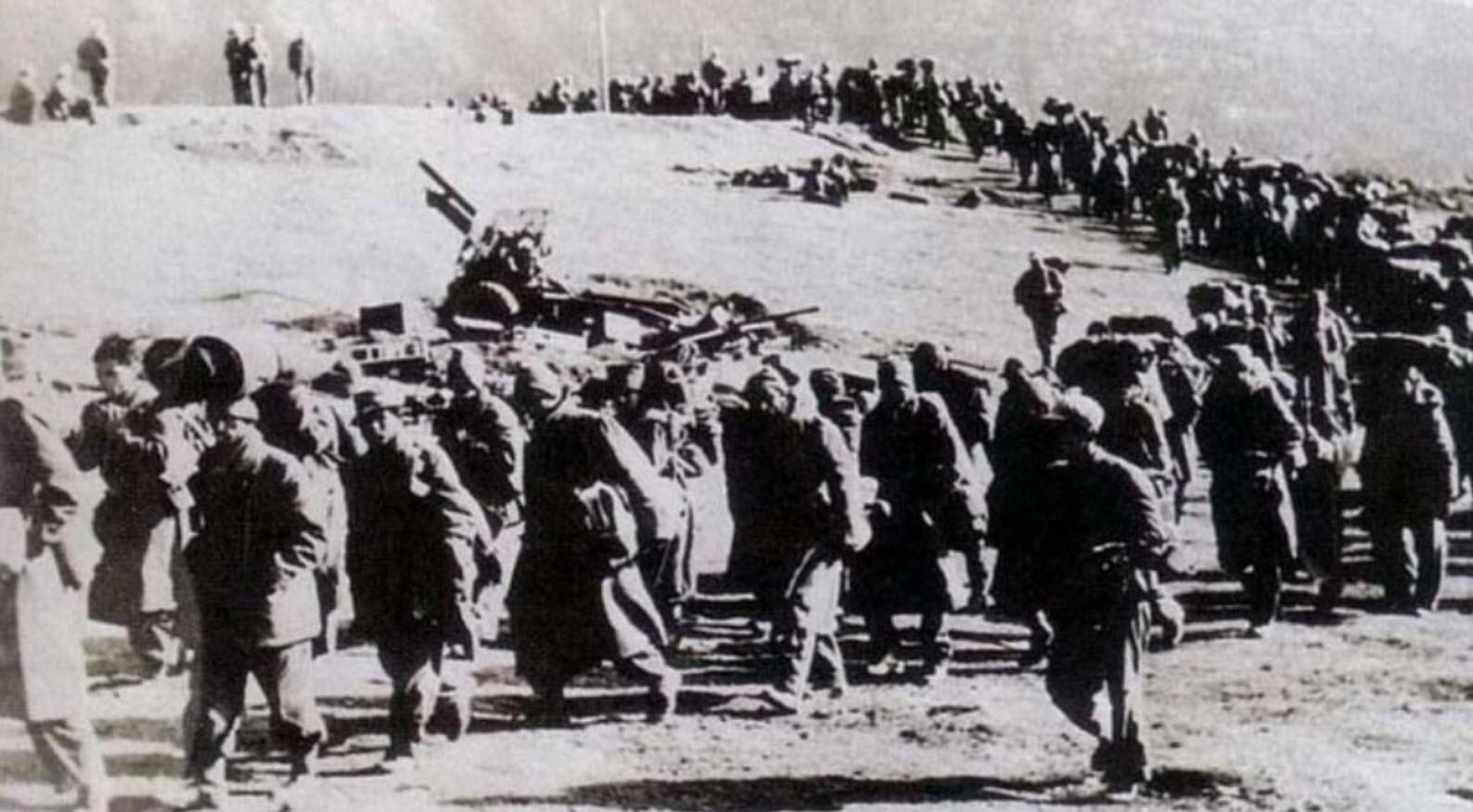 第54集团军猛虎师,英勇无畏,战无不胜,第54集团军猛虎师,英勇战将,无畏无败