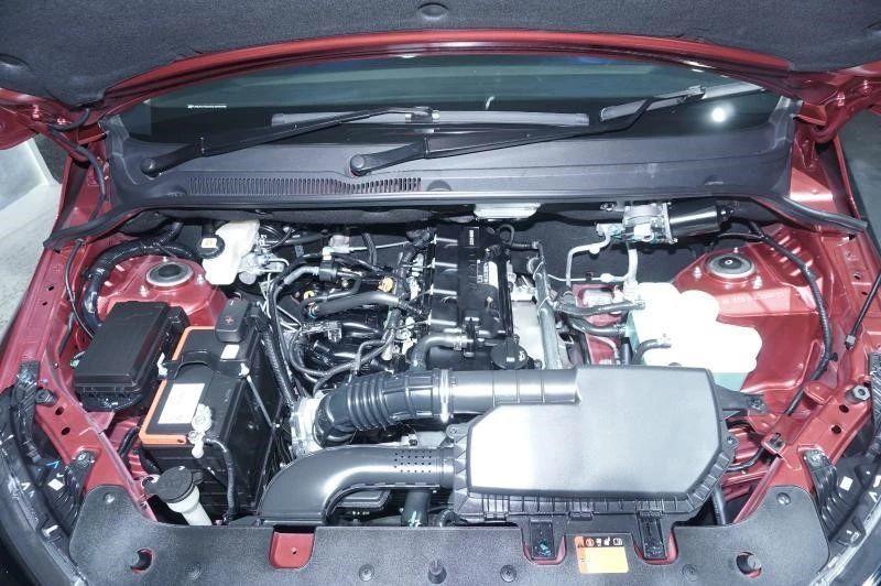 王中王四肖精选一肖