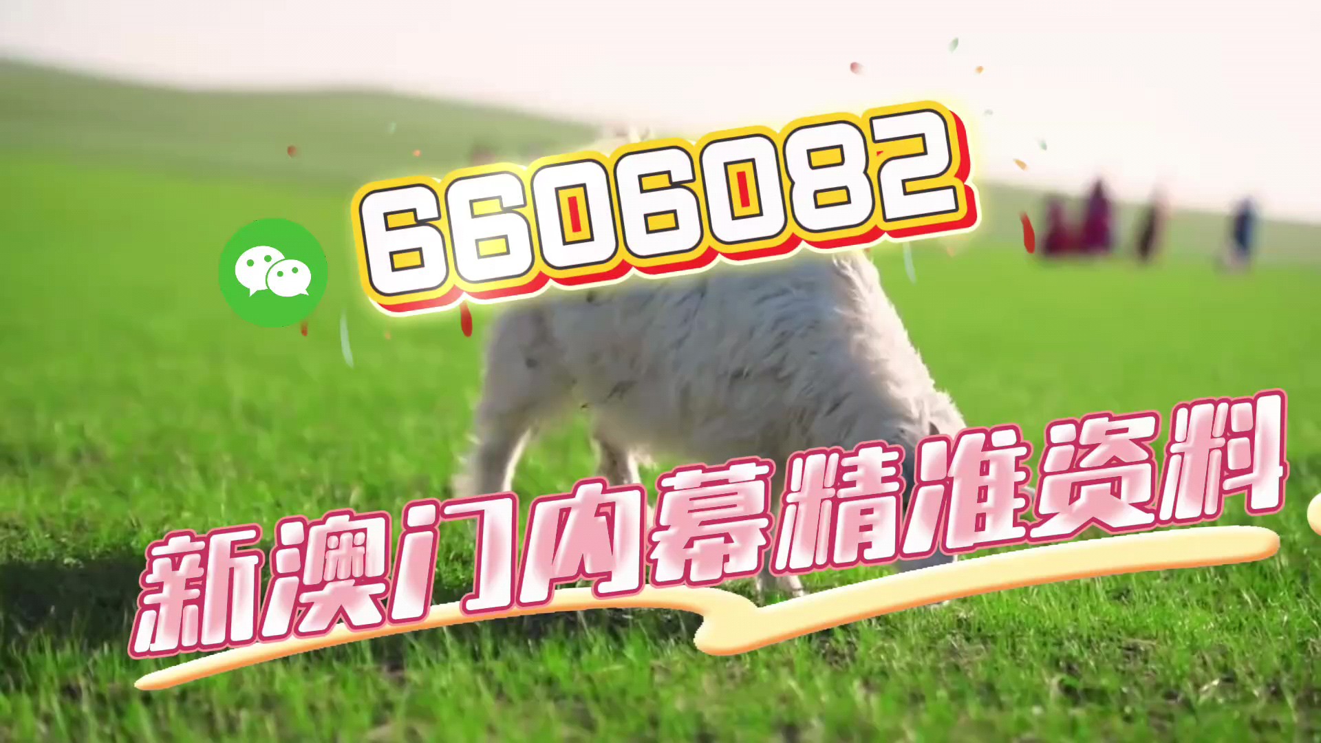 澳门必开一肖一码