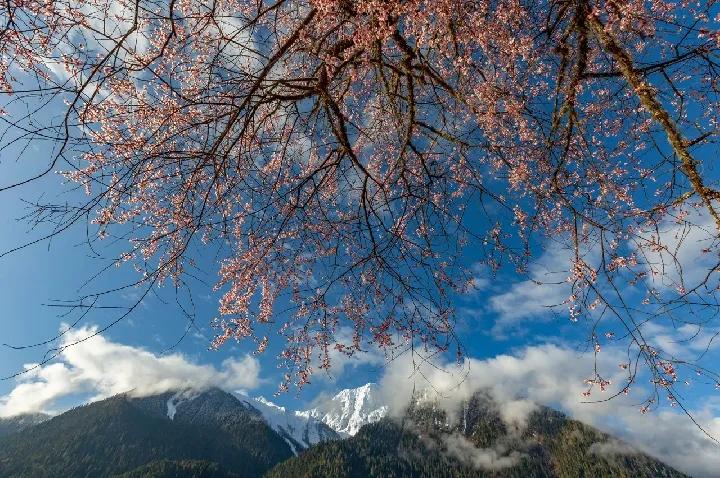 今日重大新闻,全球瞩目下的历史时刻(2023年3月26日),全球瞩目时刻,今日重大新闻,历史性的2023年3月26日