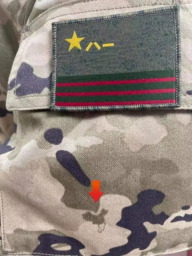 探索与赏析，关于21式迷彩图片素材的魅力，21式迷彩图片素材的魅力探索与赏析