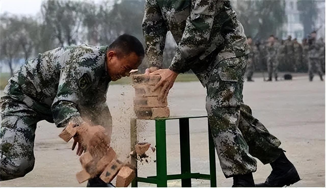 武警雪豹突击队训练基地，磨砺意志，锻造精锐，武警雪豹突击队训练基地，意志磨砺，精锐锻造之路